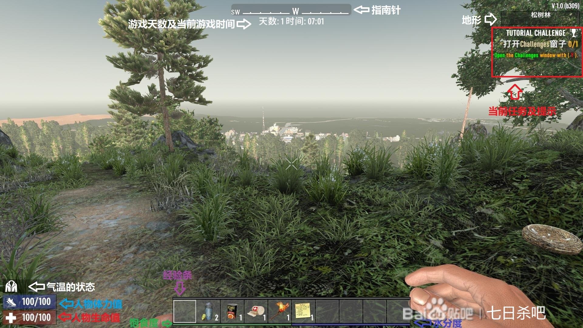 空洞骑士 截图13